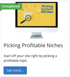 Picking Profitable Niche Course inside Project 24