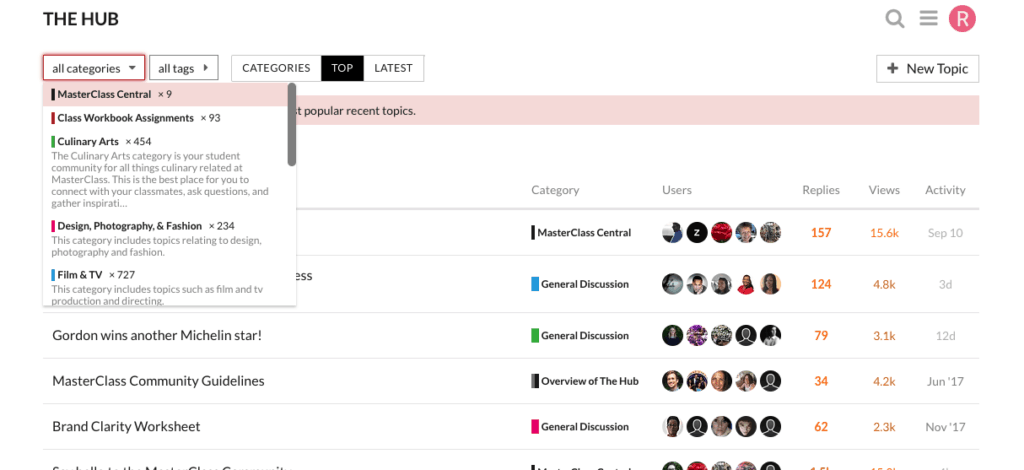 Masterclass Hub Community Snapshot 